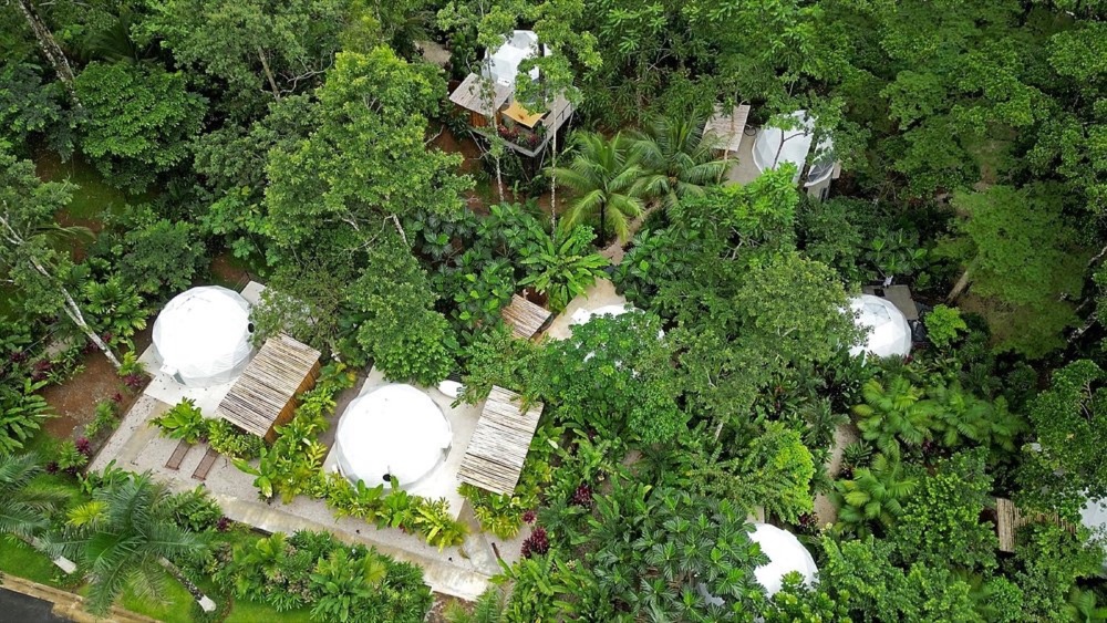 Vista aérea de los domos en el bosque
